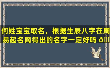 何姓宝宝取名，根据生辰八字在周易起名网得出的名字一定好吗 🐎